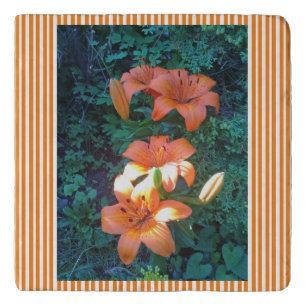 Orange Lily Striped Trivet