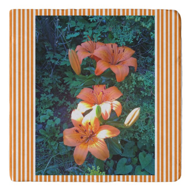 Orange Lily Striped Trivet (Front)