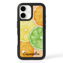 Orange, Lime and Lemon Fruit Slices  