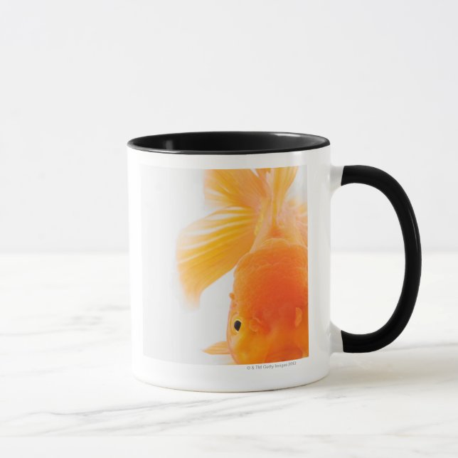 Orange lionhead goldfish (Carassius auratus) Mug (Right)