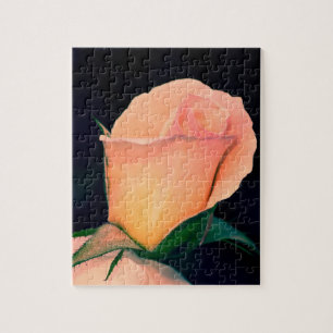 Orange Lomo Rose Puzzle