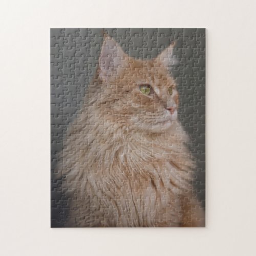 Orange Longhair Cat Jigsaw Puzzle