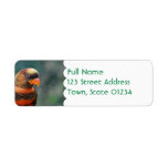 Orange Lorikeet Mailing Labels
