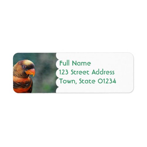 Orange Lorikeet Mailing Labels