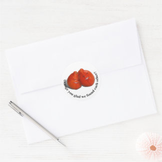 Orange Lovers Classic Round Sticker