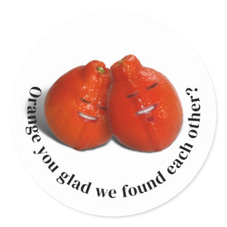 Orange Lovers Valentine's Day Classic Round Sticker