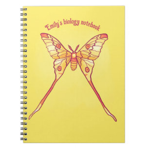 Orange Luna Moth Art – Colorful Insect Art Notebook