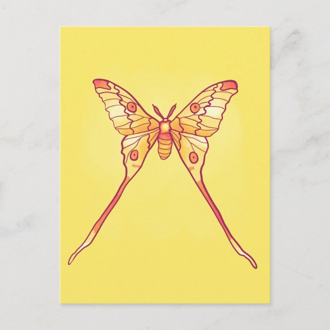 Orange Luna Moth Art – Colorful Insect Postcard (Front)