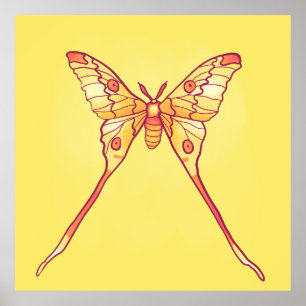 Orange Luna Moth Art – Colorful Insect Poster