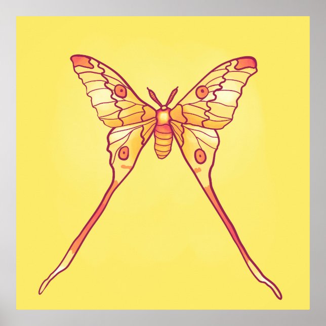 Orange Luna Moth Art – Colorful Insect Poster (Front)