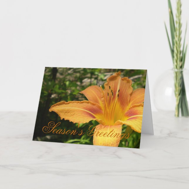 Orange Lys Flower Holiday Card (Front)
