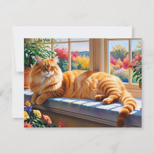 Orange Maine Coon Cat Postcard