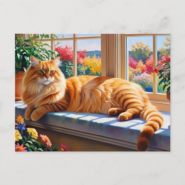 Orange Maine Coon Cat  Postcard (Front)