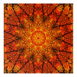 Orange Mandala Art