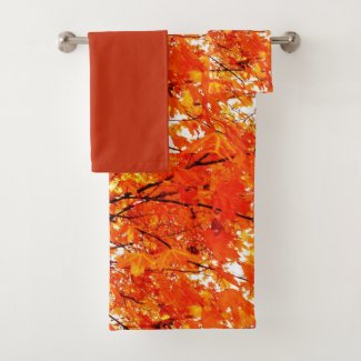 Orange Maple Leaves Autumn Season 