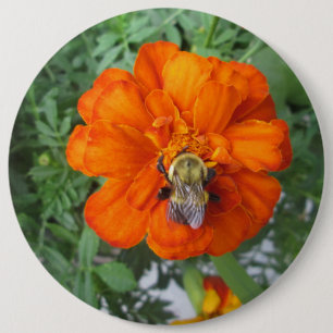 Orange Marigold Bee Flower Button