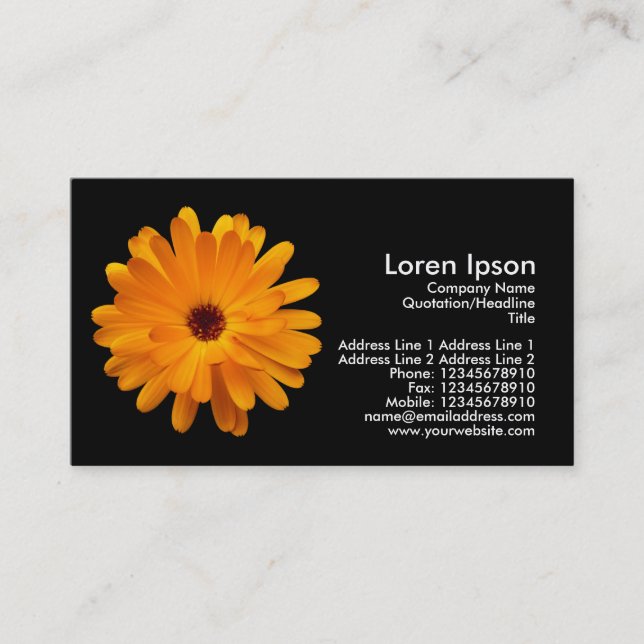 Orange Marigold - Black Business Card (Front)