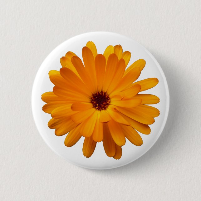Orange Marigold Button (Front)