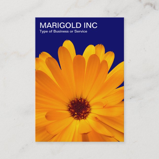 Orange Marigold - Deep Navy Blue Business Card (Front)