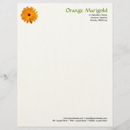 Orange Marigold - (Felt) Letterhead