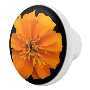Orange Marigold Flower on Black Ceramic Knob