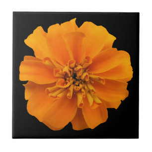 Orange Marigold Flower on Black Ceramic Tile