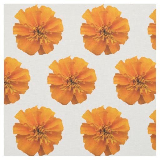 Orange Marigold Flowers on White Fabric