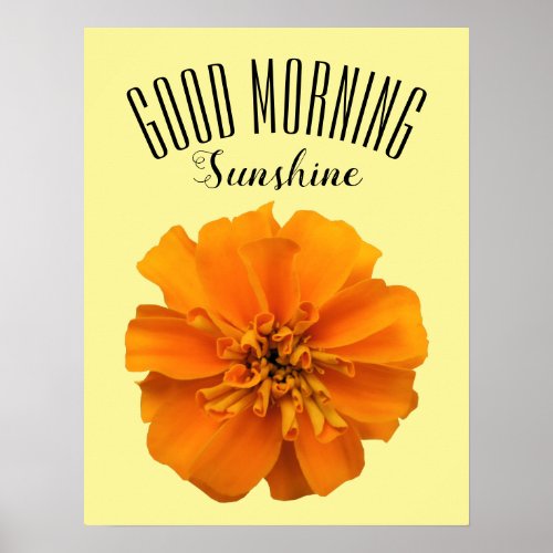 Orange Marigold Good Morning Sunshine Poster