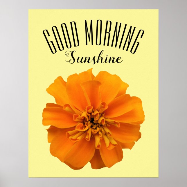 Orange Marigold Good Morning Sunshine Poster (Front)