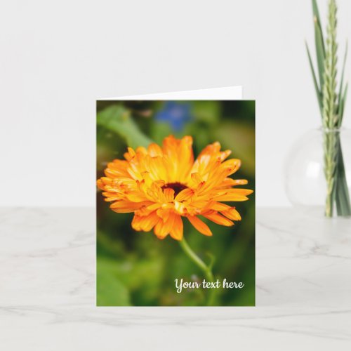 Orange Marigold Greeting card