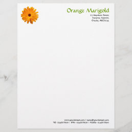 Orange Marigold Letterhead