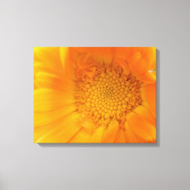 Orange Marigold Macro Canvas Print (Front)