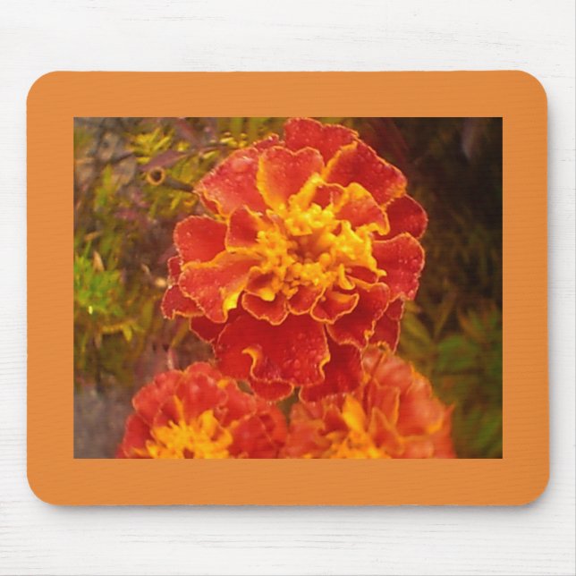 Orange Marigold Mouse Pad (Front)