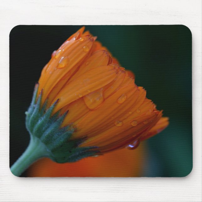 Orange marigold mouse pad (Front)