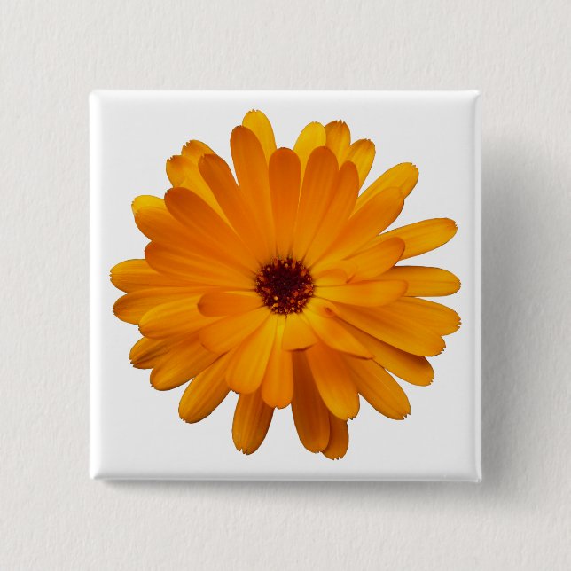 Orange Marigold Pinback Button (Front)