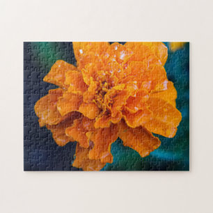 Orange Marigold Puzzle