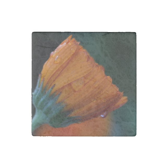 Orange marigold stone magnet (Front)