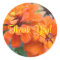 Orange Marigolds