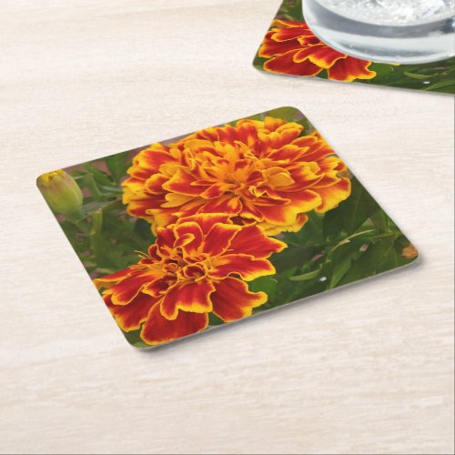 Orange Marigolds Garden Photo Square Paper Coaster