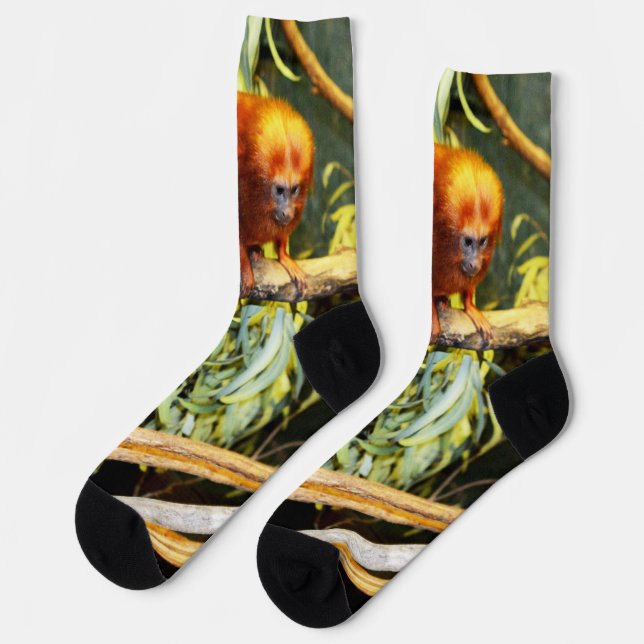 Orange Marmoset, Crew Socks (Left)