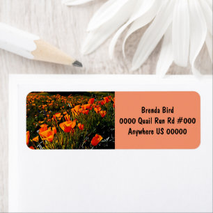 Orange Mexican Gold Poppies blooming in springtime Label