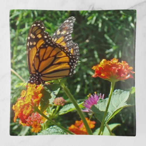 Orange Monarch Butterfly Animal Keepsake Trinket Tray