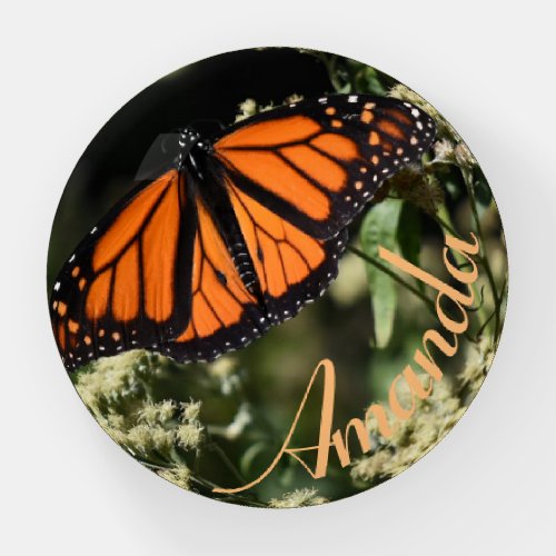 Orange Monarch Butterfly Nature Photography Paperweight