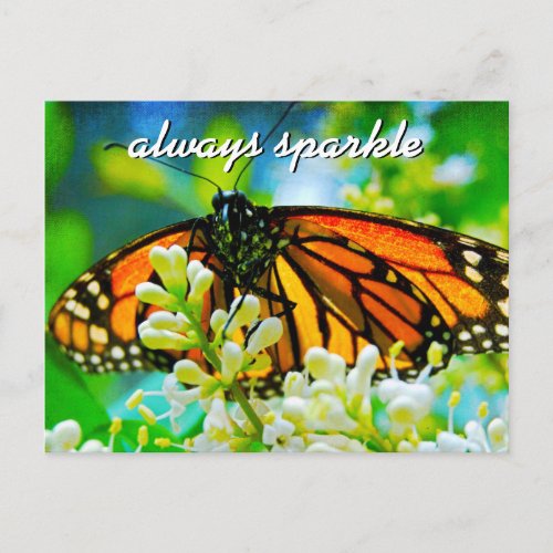 Orange Monarch Butterfly Photo Always Sparkle Postcard