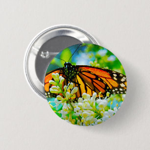 Orange monarch butterfly photo modern bold stylish pinback button
