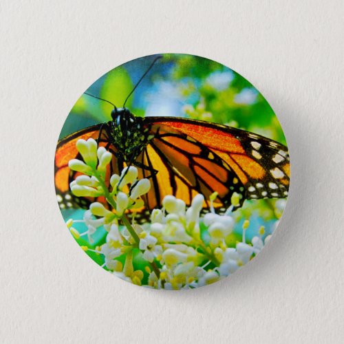 Orange monarch butterfly photo modern bold stylish pinback button