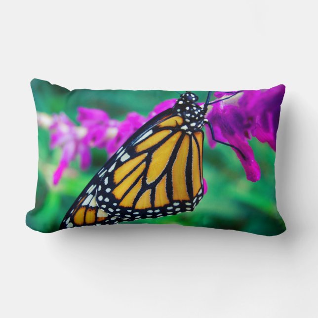 Orange monarch butterfly photo purple flower bold lumbar pillow (Front)