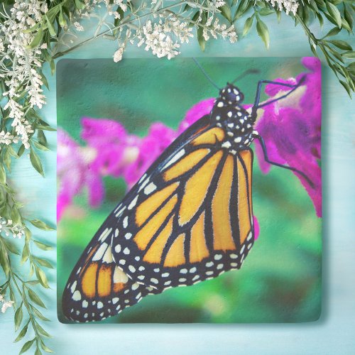 Orange monarch butterfly photo purple flower bold stone coaster