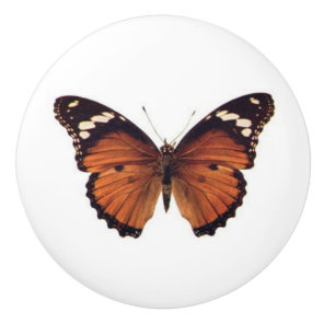 Orange Monarch Butterfly vintage art Ceramic Knob