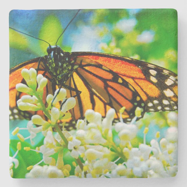 Orange Monarch Butterfly White Flower Photography Stone Coaster (Front)